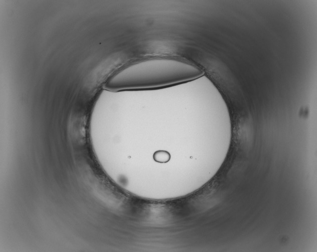X0000112520264200909141229