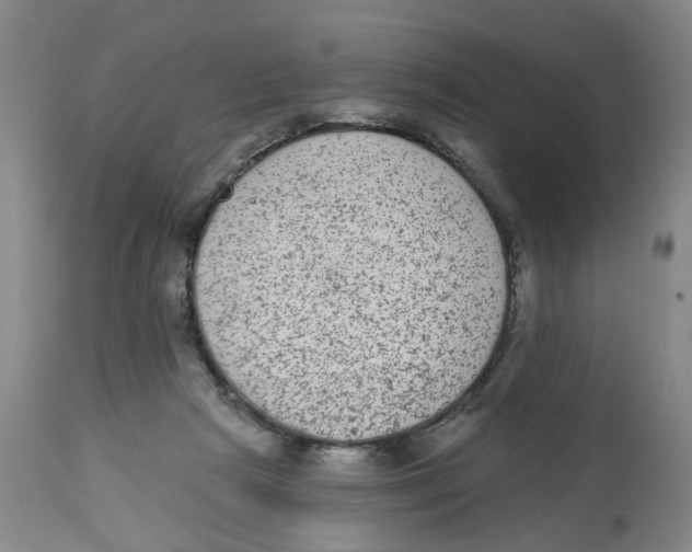 X0000112520265200909141229