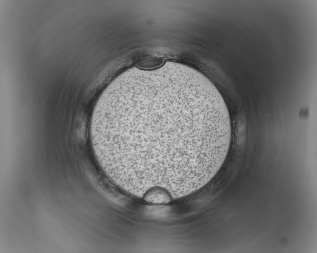 X0000112520266200909141229