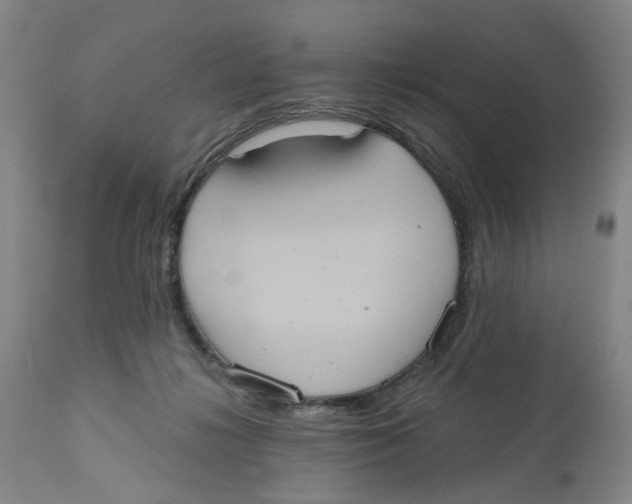 X0000112520268200909141229