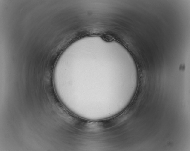 X0000112520269200909141229