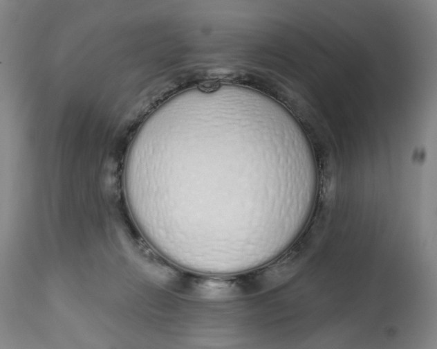 X0000112520270200909141230
