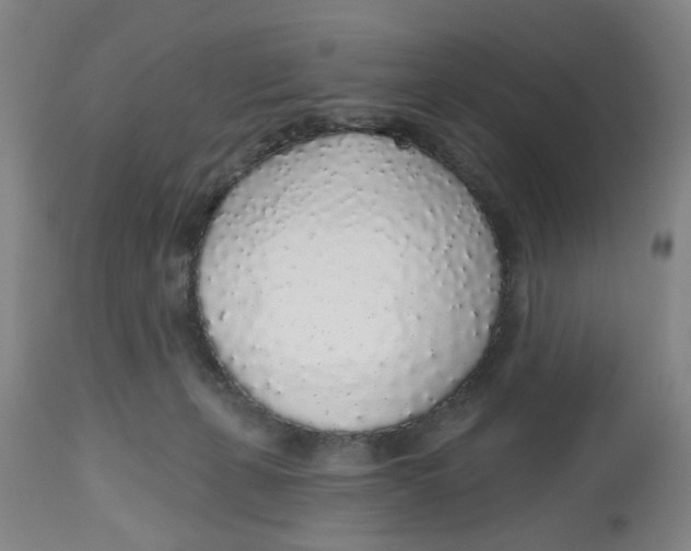 X0000112520271200909141230