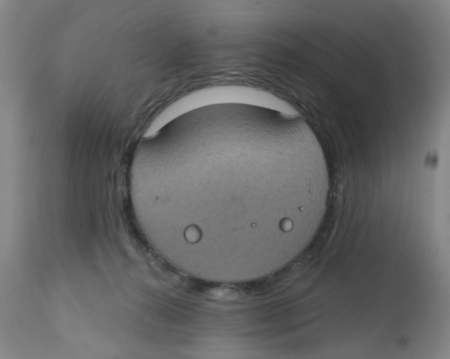 X0000112520272200909141230