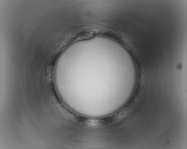 X0000112520273200909141230