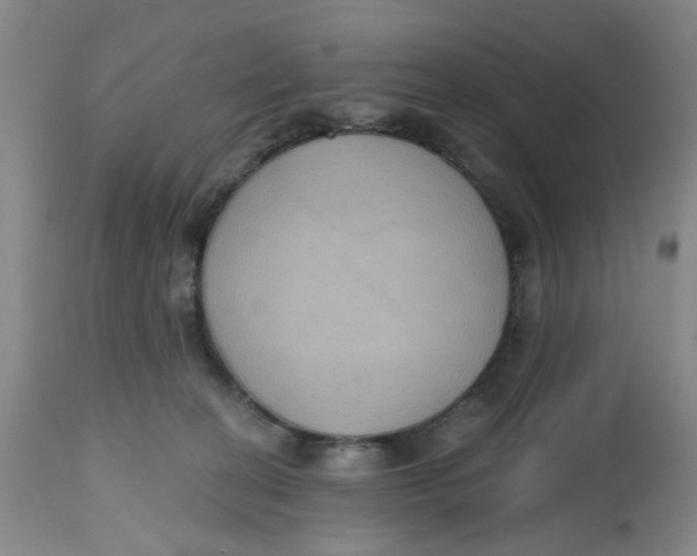 X0000112520274200909141230