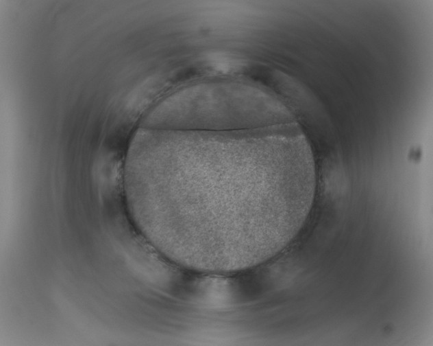 X0000112520276200909141230