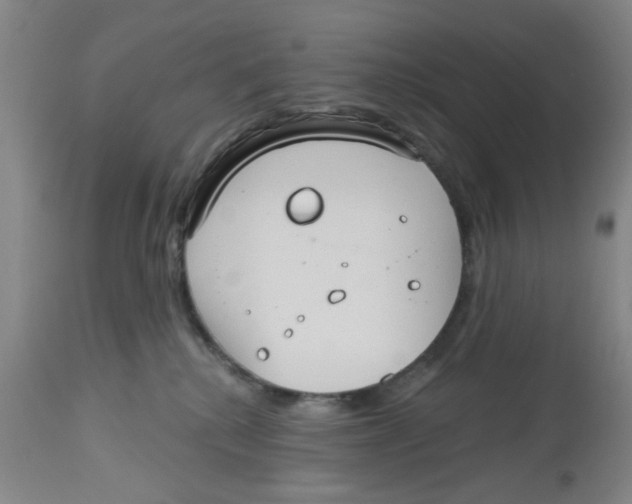 X0000112520280200909141230