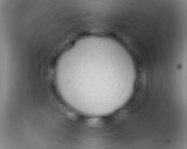 X0000112520281200909141230