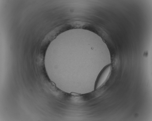 X0000112520283200909141230