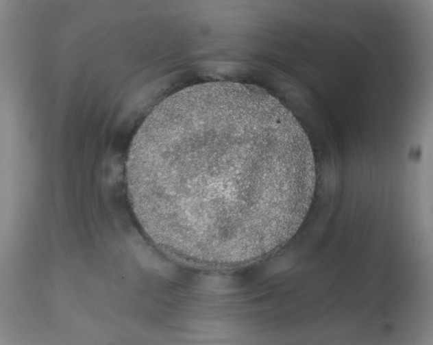 X0000112520284200909141230