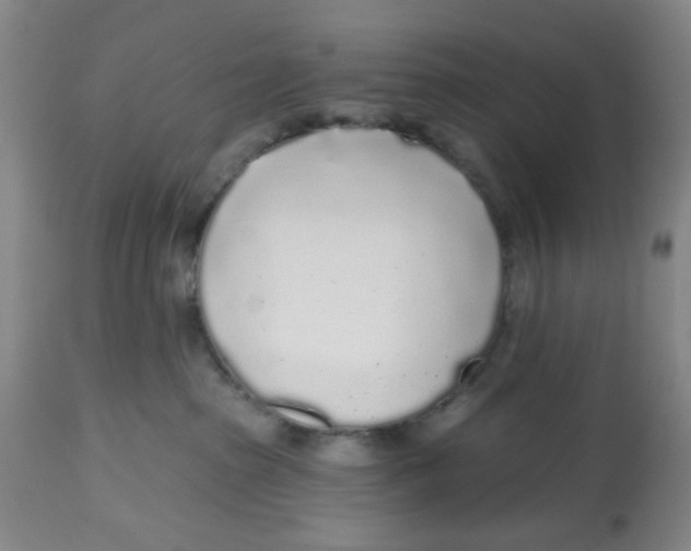X0000112520285200909141230