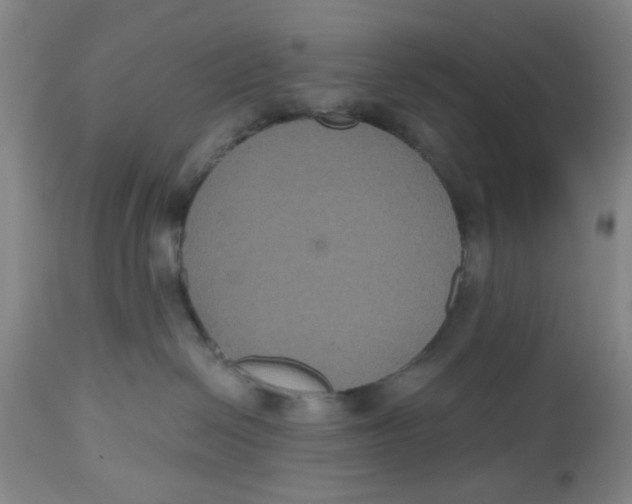 X0000112520286200909141230