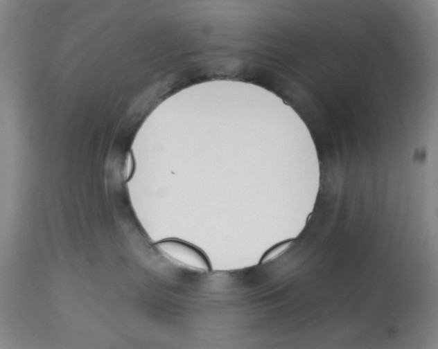 X0000112520287200909141230