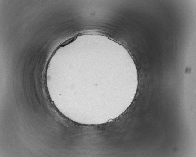 X0000112520289200909141229
