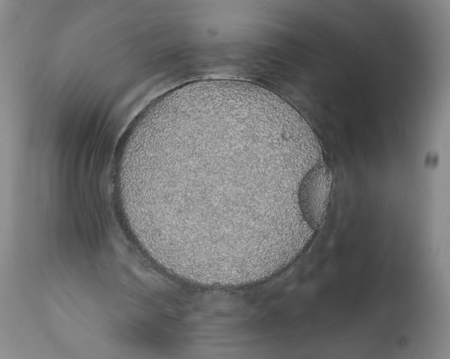 X0000112520290200909141229