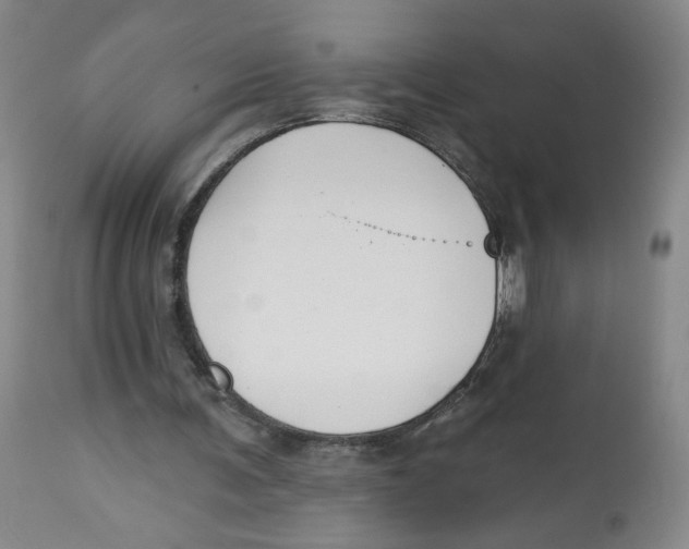 X0000112520291200909141229