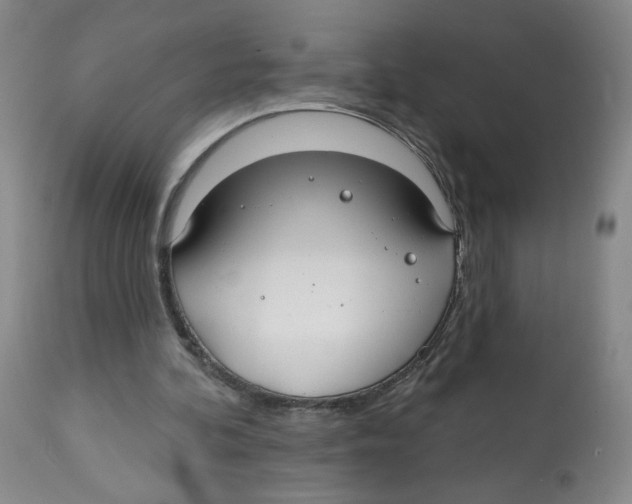 X0000112520292200909141229