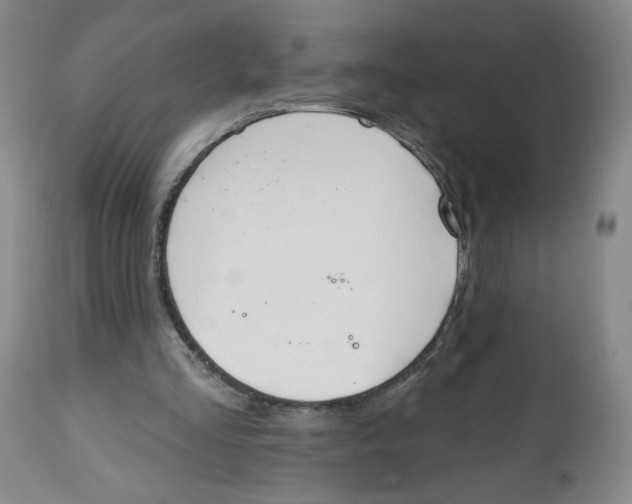 X0000112520293200909141229