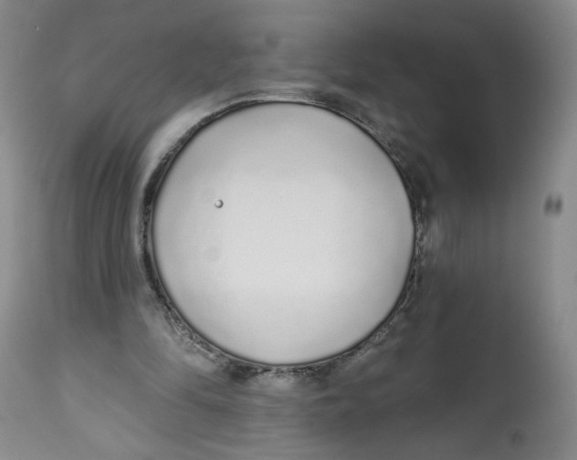 X0000112520294200909141229