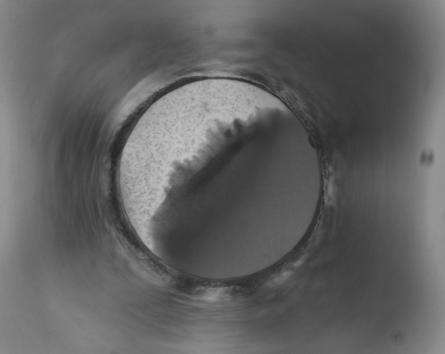 X0000112520295200909141229