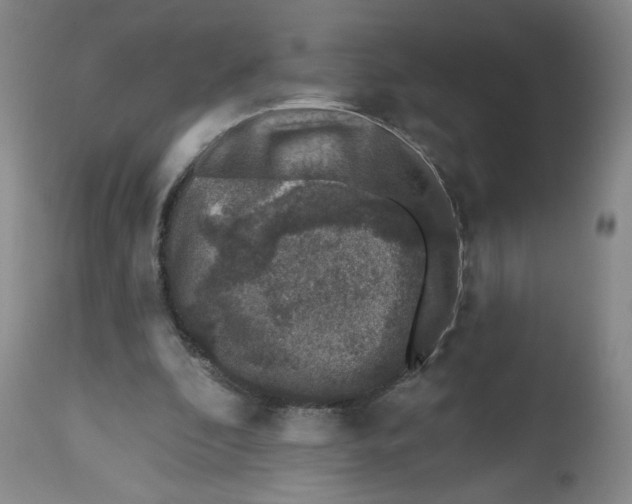 X0000112520296200909141229