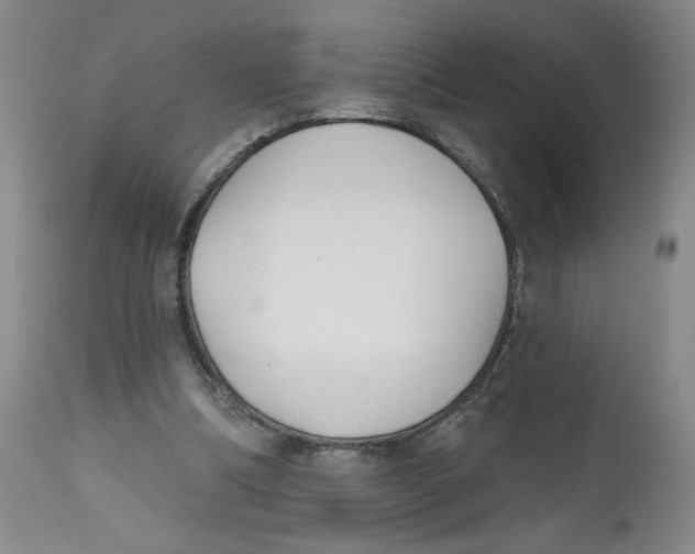 X0000112520298200909141229