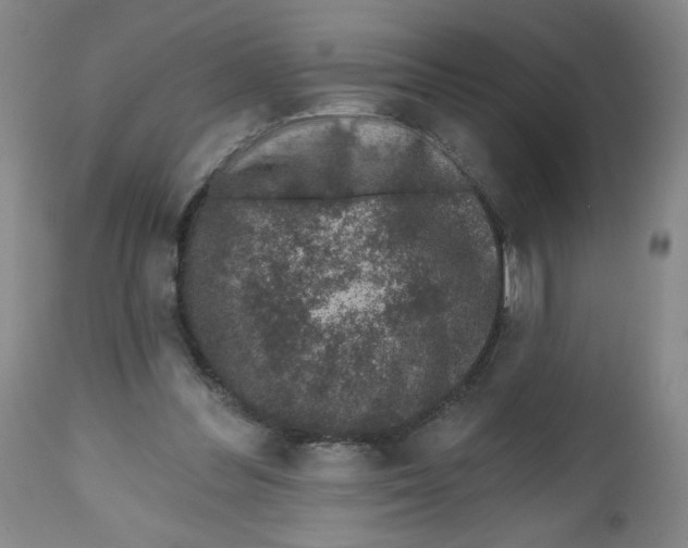 X0000112520300200909141229