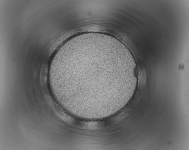 X0000112520301200909141229