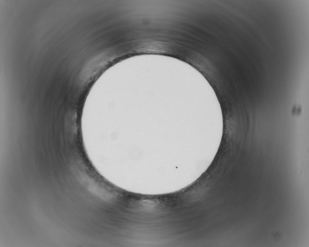 X0000112520302200909141229