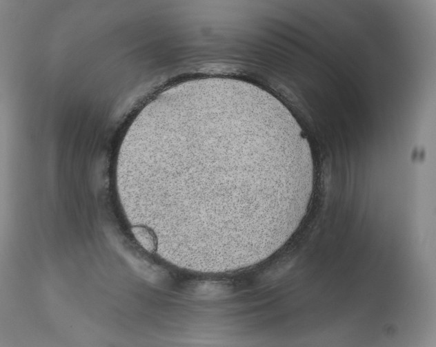 X0000112520303200909141229