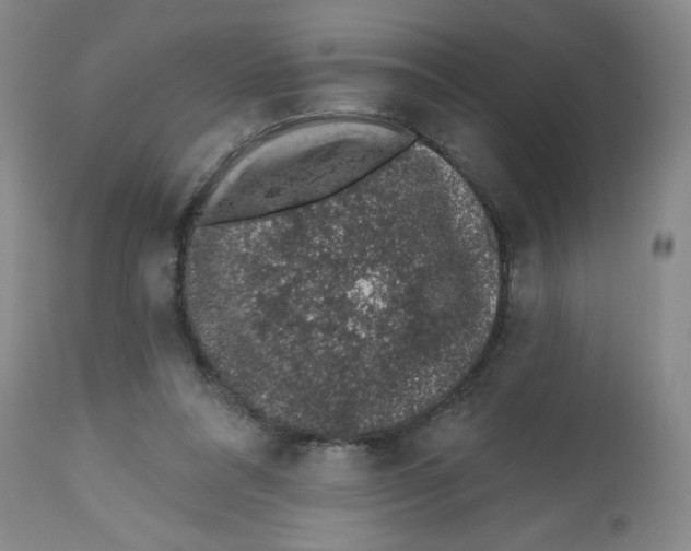 X0000112520304200909141229