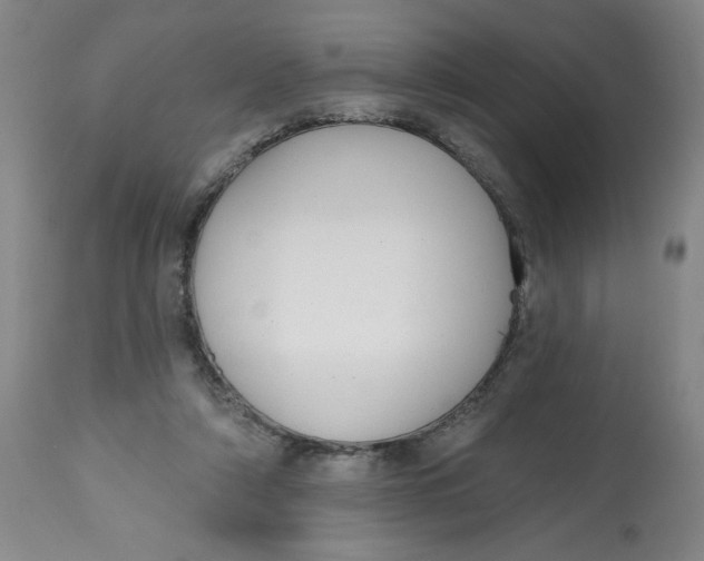 X0000112520306200909141229