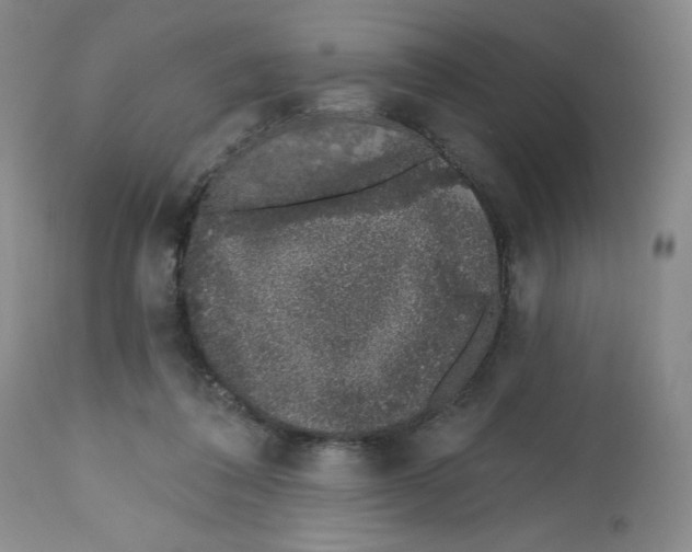 X0000112520308200909141229