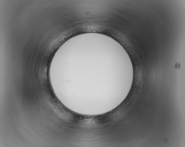 X0000112520310200909141229