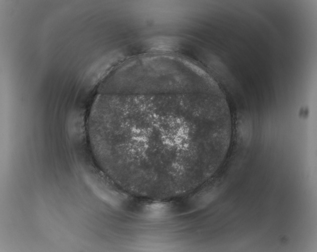X0000112520312200909141229