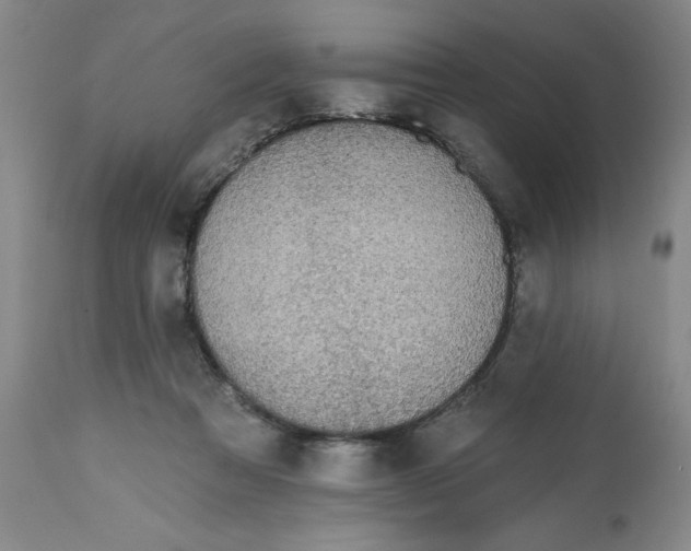 X0000112520313200909141229