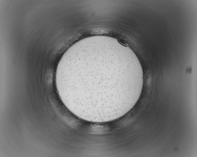 X0000112520315200909141229