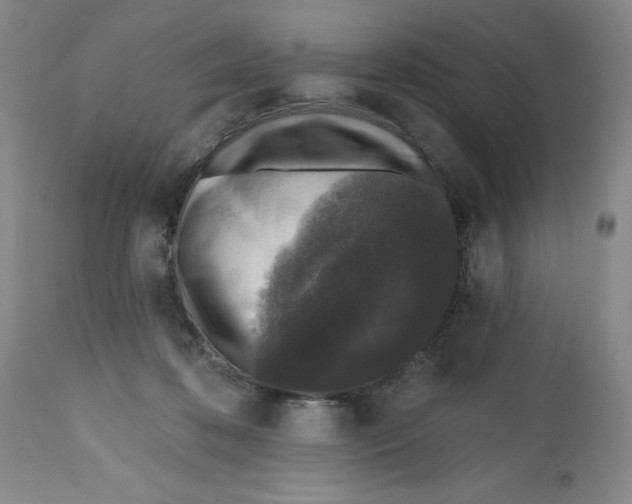 X0000112520316200909141229
