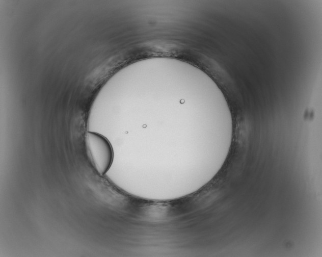 X0000112520318200909141229