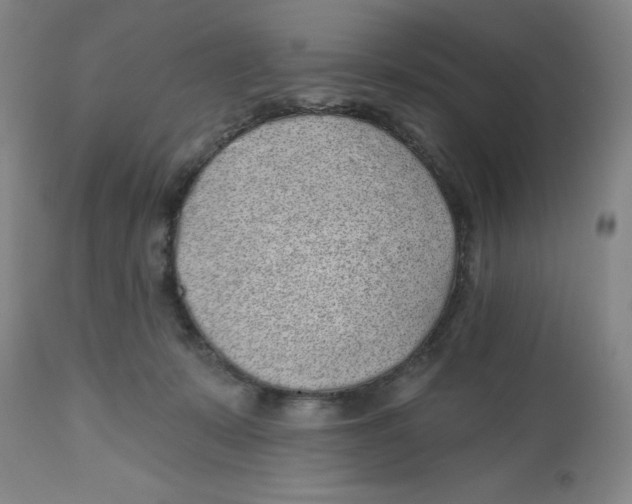 X0000112520319200909141229