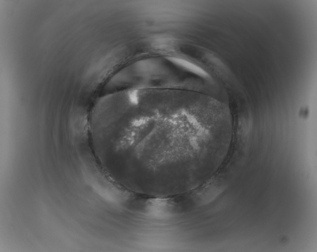 X0000112520320200909141229