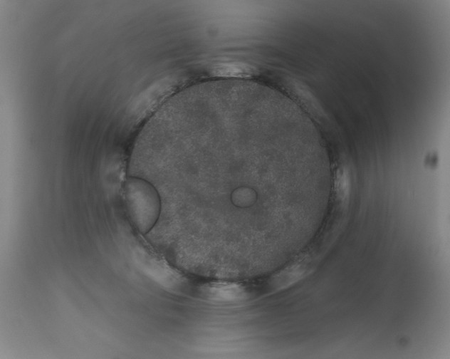 X0000112520322200909141229