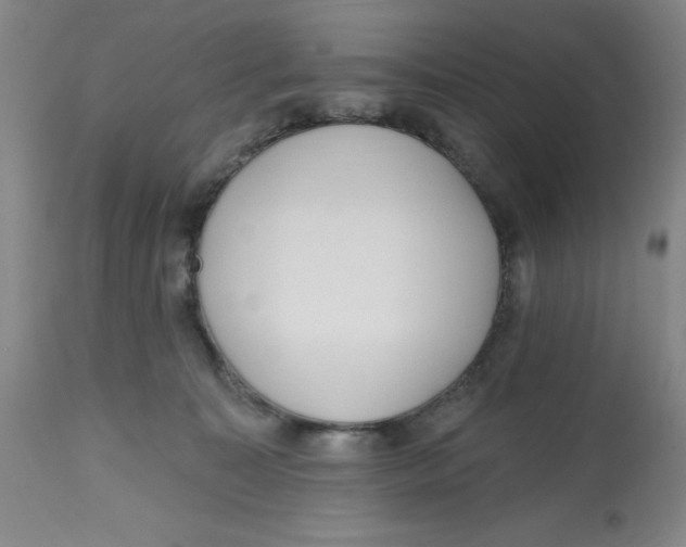 X0000112520323200909141229