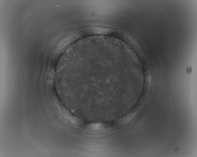 X0000112520325200909141229