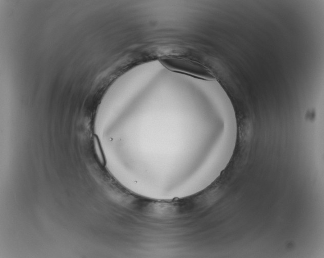 X0000112520327200909141229