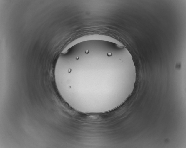X0000112520328200909141229