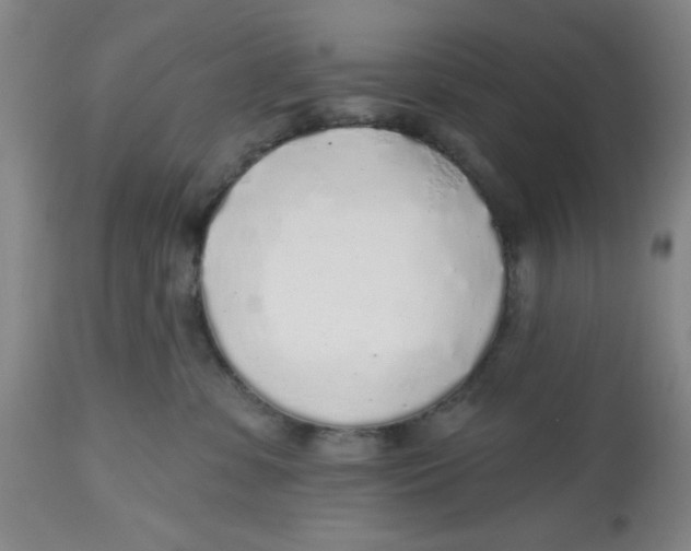X0000112520331200909141229