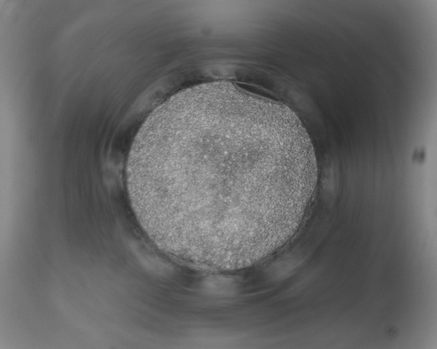 X0000112520332200909141229