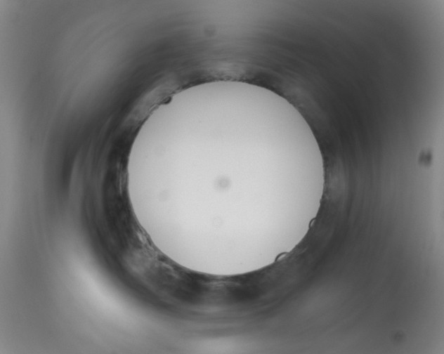 X0000112520334200909141228